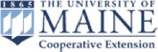 University of Maine